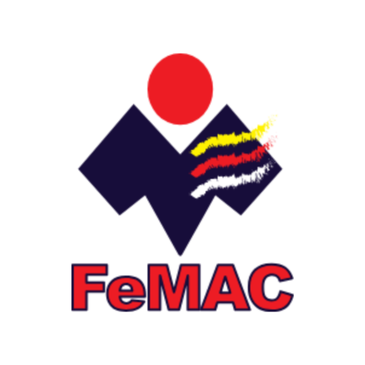 cropped FeMAC Logo